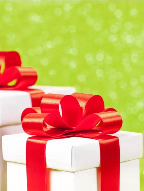 The Gift of Christmas Drive